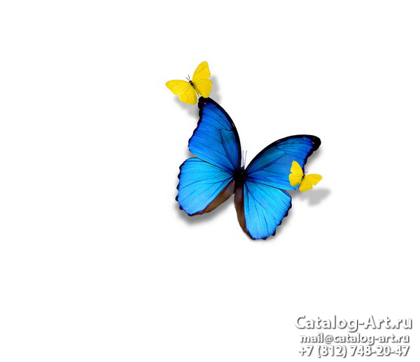  Butterflies 101